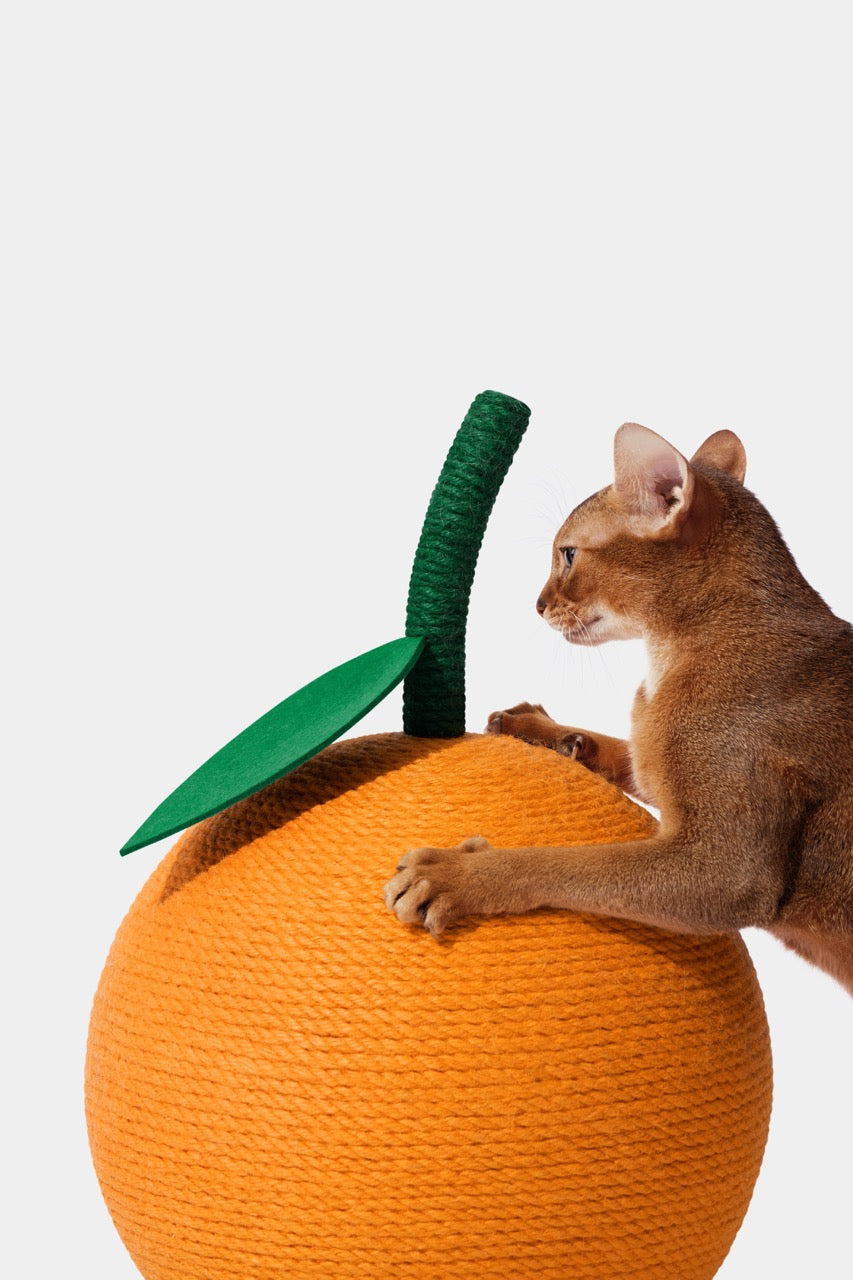 VETRESKA Katzenkratzball Mandarine