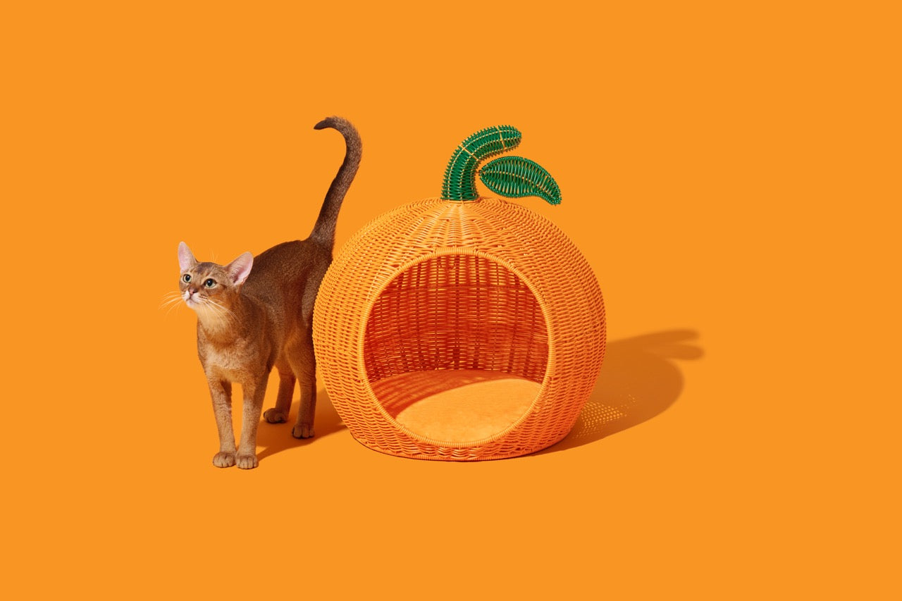 VETRESKA Tangerine Rotan Huisdierbed