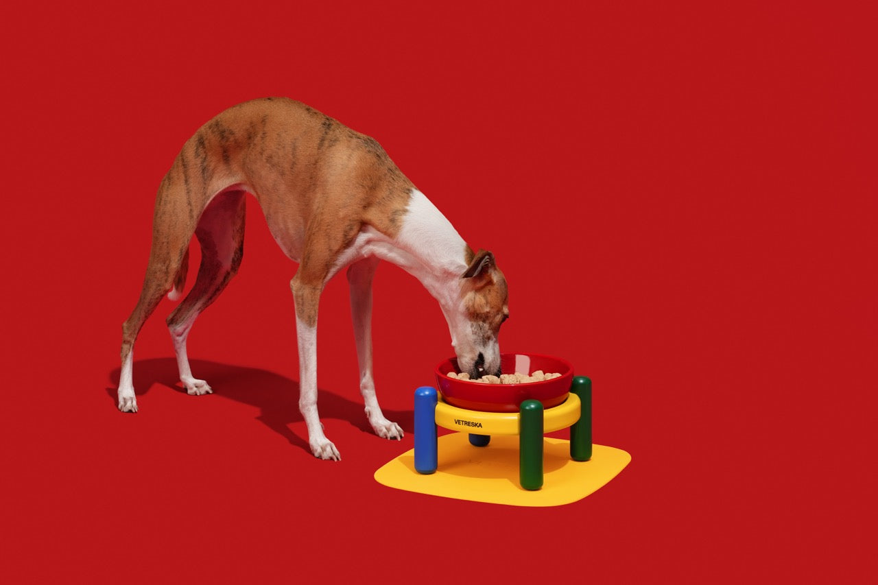 VETRESKA Chroma Ceramic Pet Bowl & Mat Set