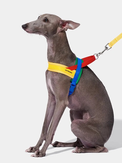 VETRESKA Chroma Pet Harness & Leash Set