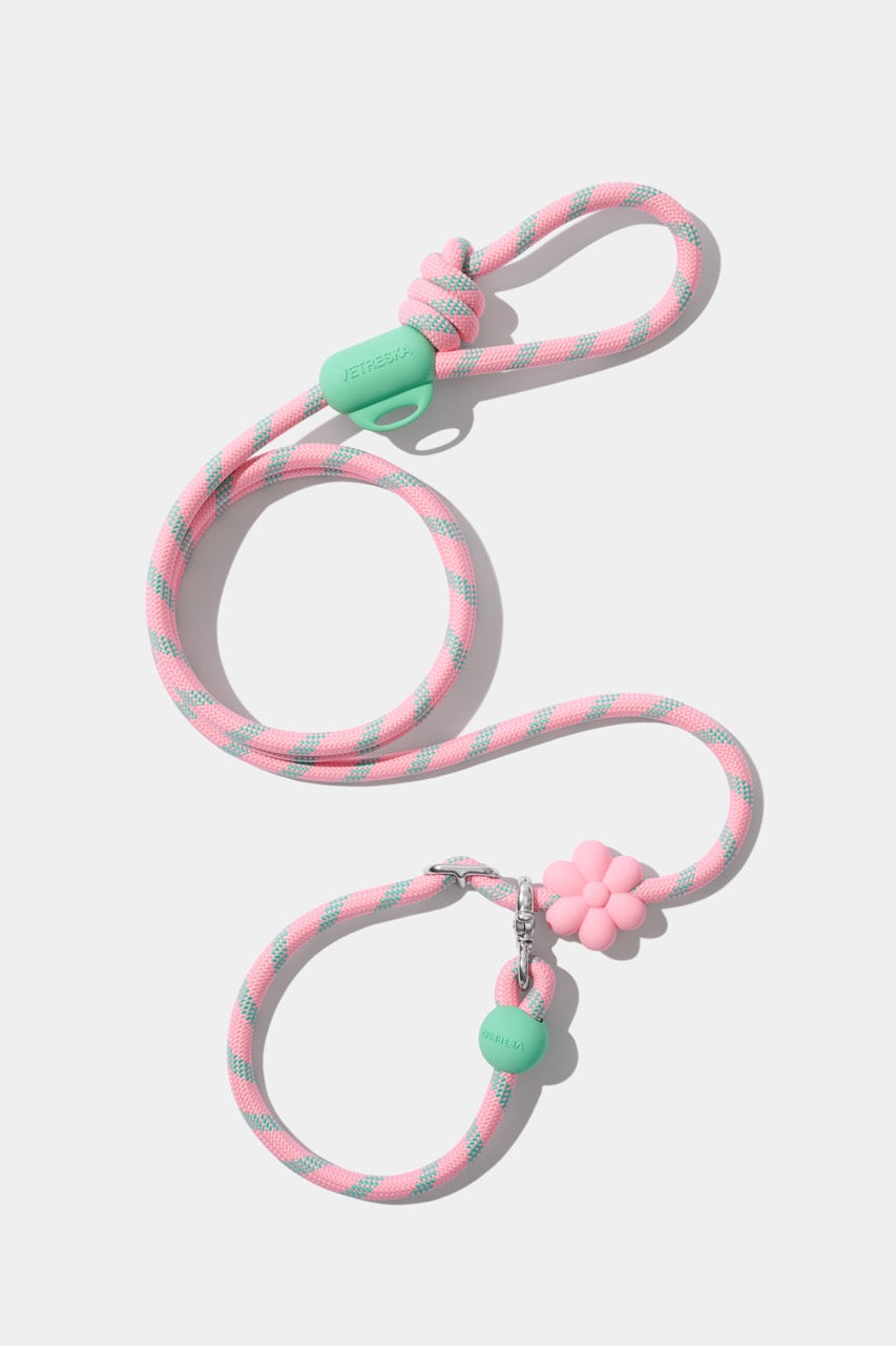 VETRESKA Connect Hands-Free Rope Leash