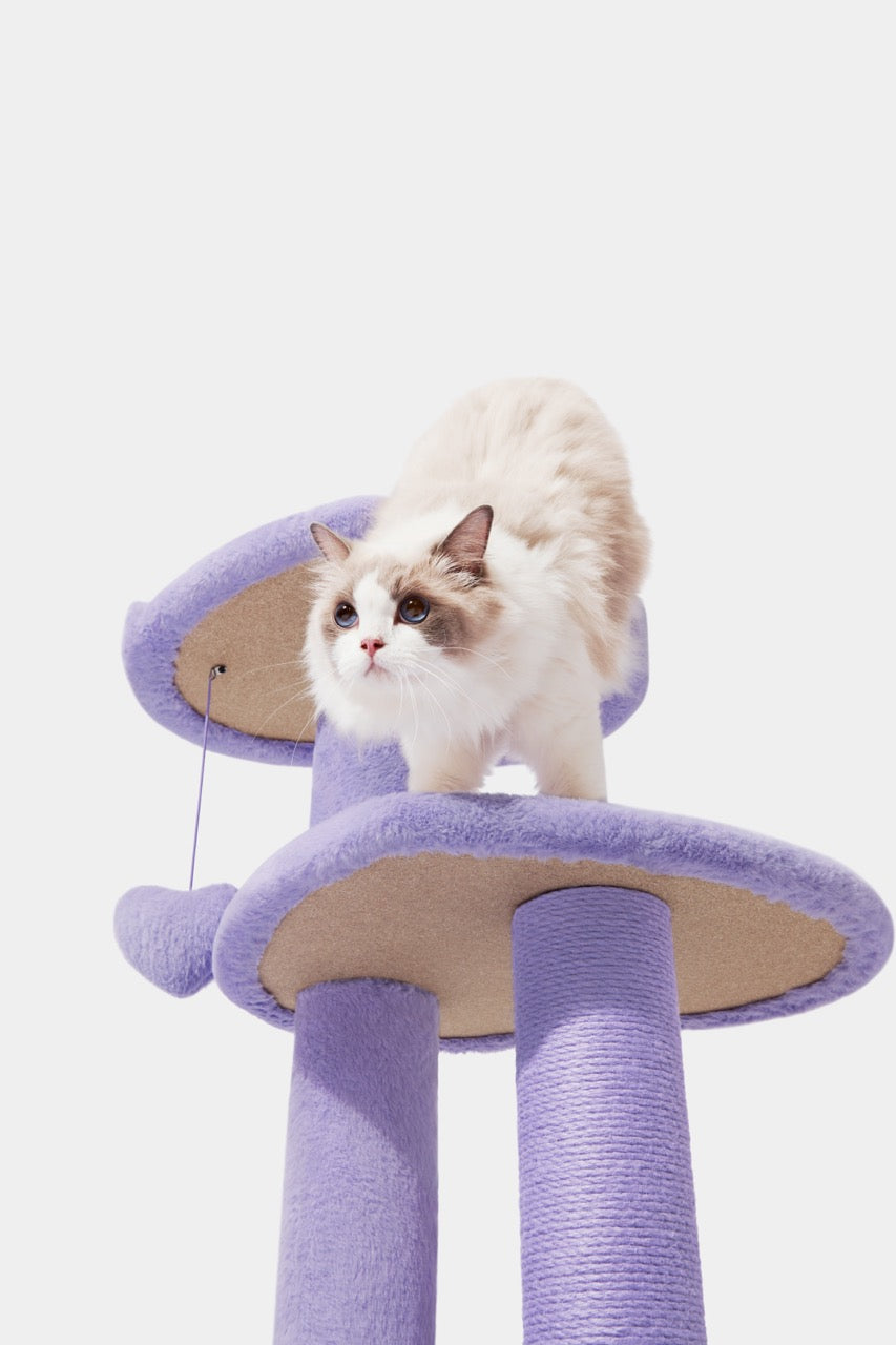VETRESKA Heartpurrink Klimpaal voor katten